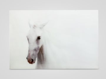 Настенный декор «Белая лошадь»